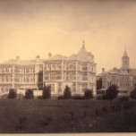 The elms from the north east 1880's